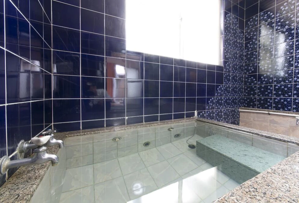 фото Tamagawa Ryokan