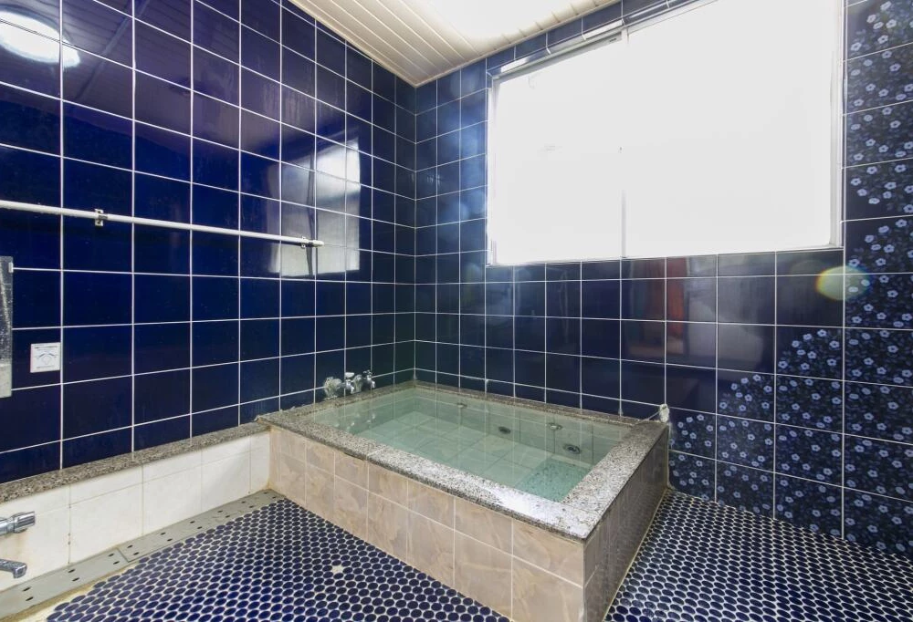 фото Tamagawa Ryokan