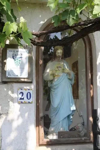 фото Pataky Borporta