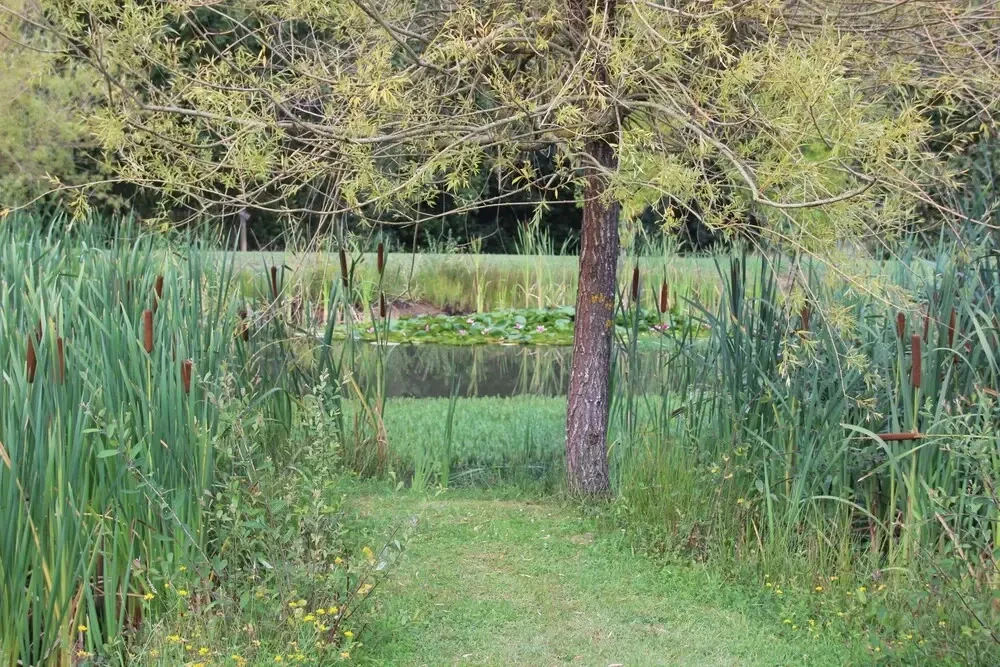 фото La Premesquoise