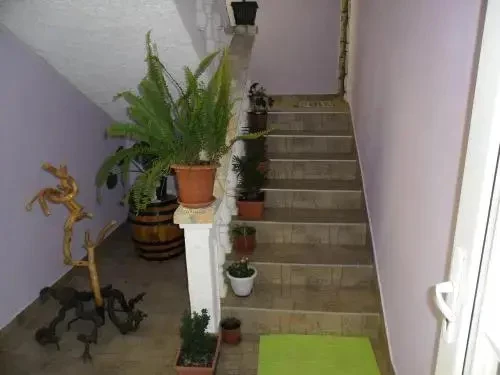 фото Apartments Zara