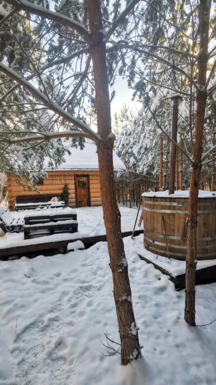 фото Дом О, Дни в Лесу