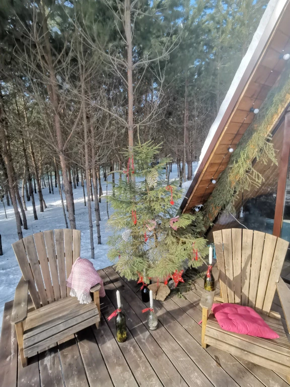 фото Дом О, Дни в Лесу