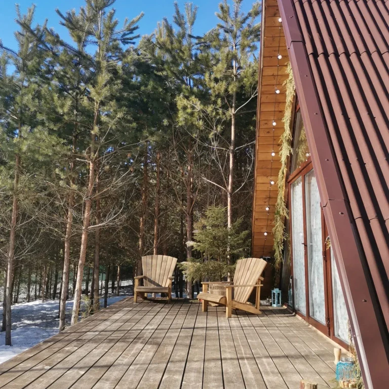 фото Дом О, Дни в Лесу