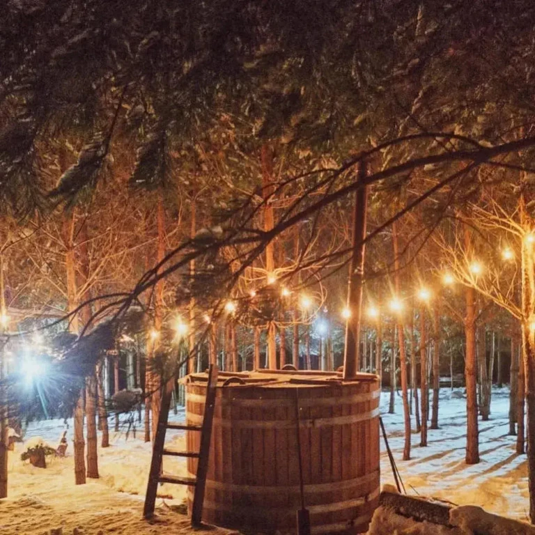 фото Дом О, Дни в Лесу