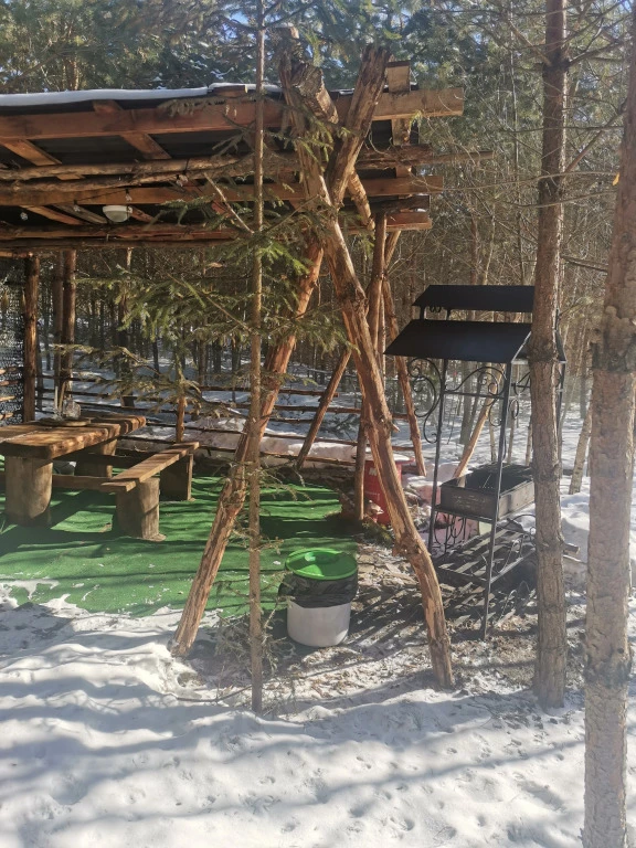 фото Дом О, Дни в Лесу