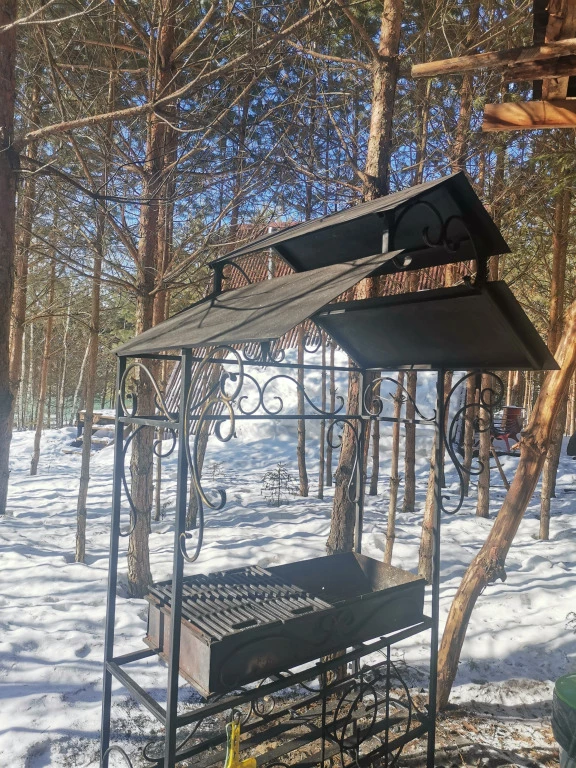 фото Дом О, Дни в Лесу