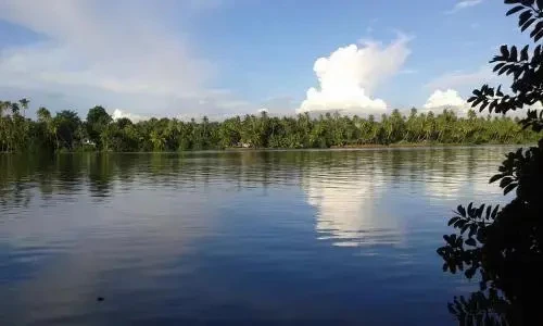 Big Banana Island Retreat