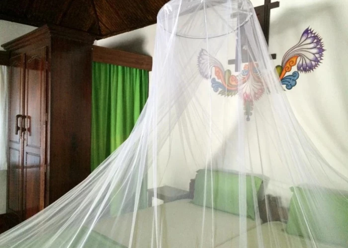 Big Banana Island Retreat