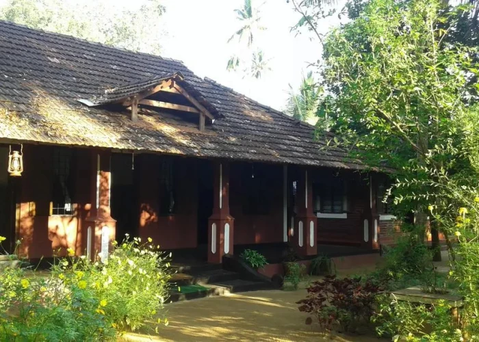 Big Banana Island Retreat