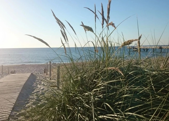 Vintage Apartment in Kröpelin near Forest
