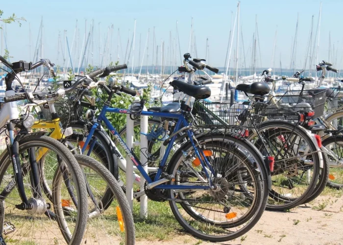 Vintage Apartment in Kröpelin near Forest