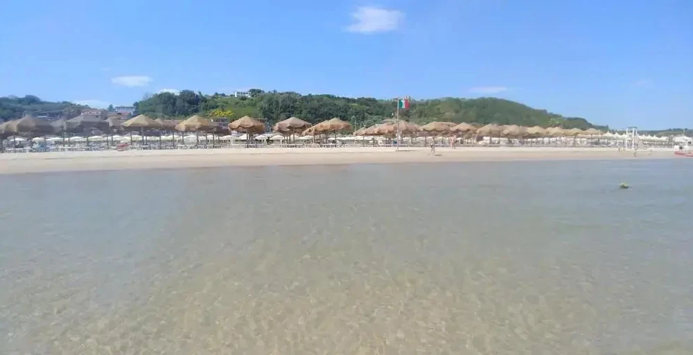 фото Appartamento Los Andes