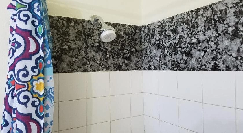 фото Kingston Go876Jamaica