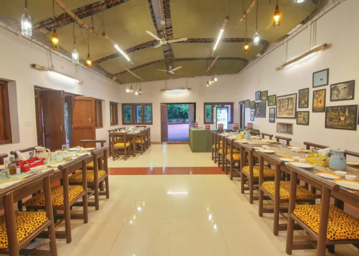 Kohka Wilderness Camp