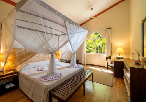 Diamonds Dream of Africa