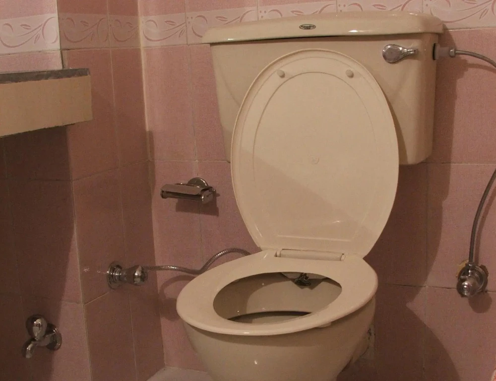 фото Hotel Ocean Blue Manali