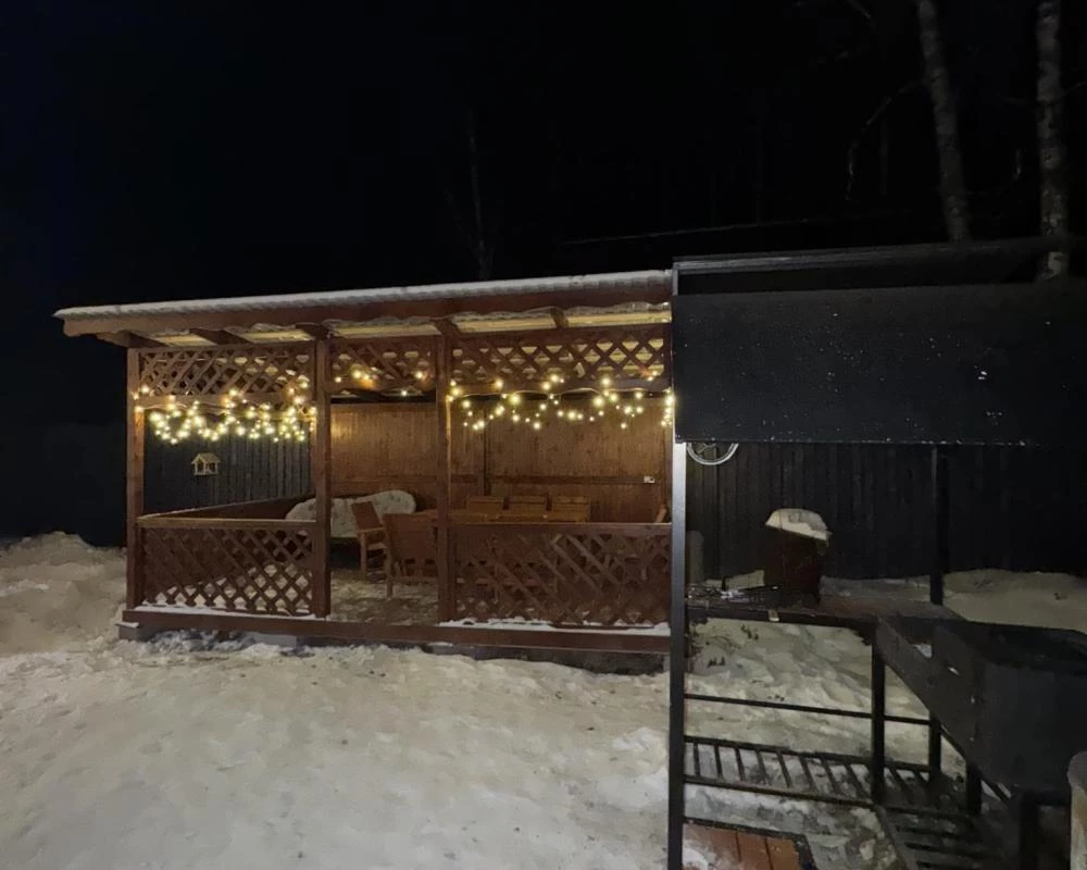 фото Афрейм Птички