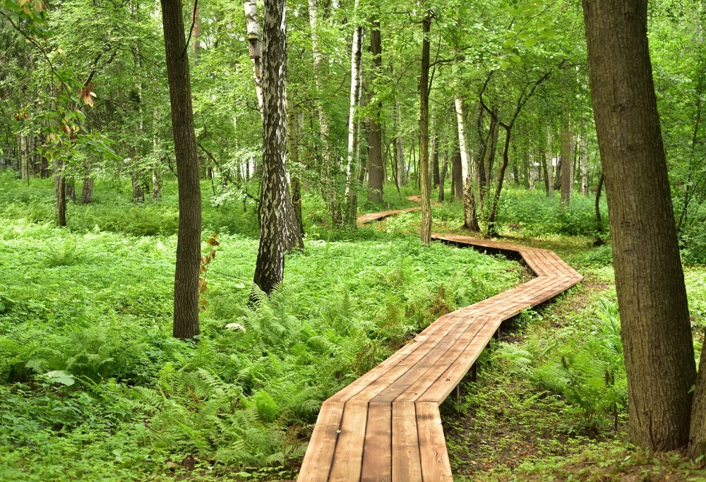 фото Санаторий Ревиталь Парк
