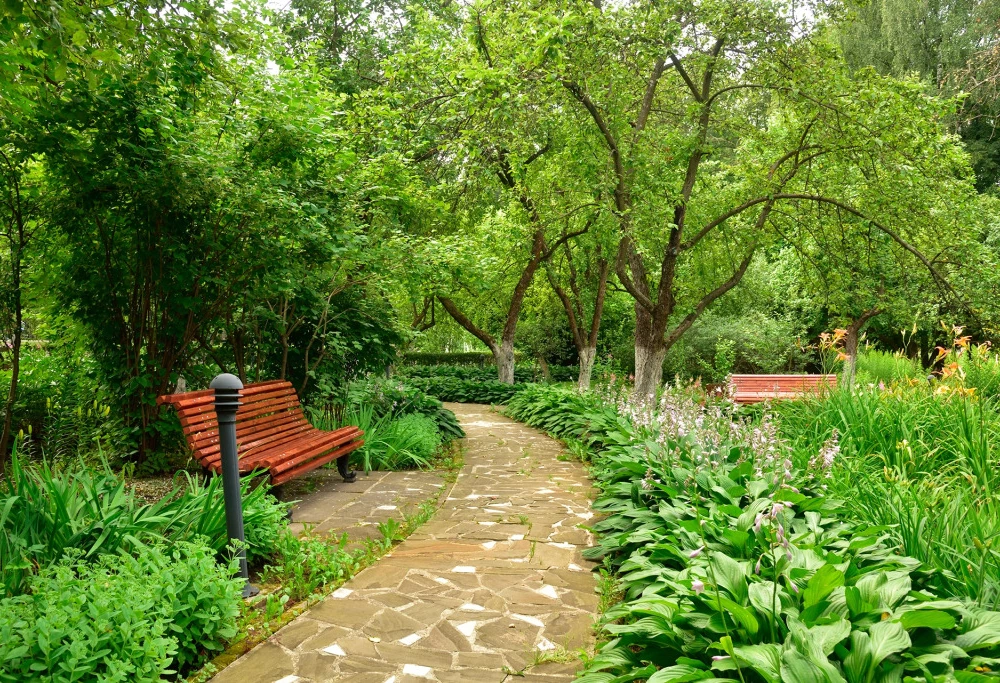 фото Санаторий Ревиталь Парк