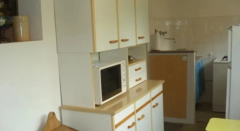 фото Aristochats