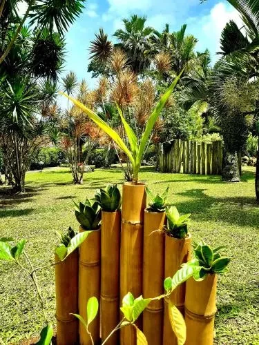 фото Village Temanoha