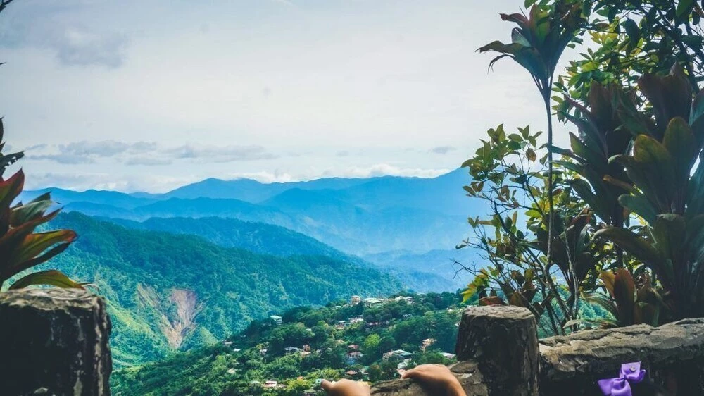 фото Pinewoods Guest House