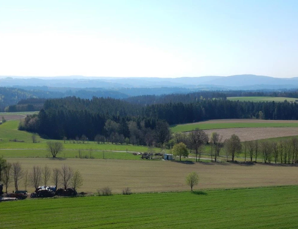 фото Frankenwald Chalets - Chalets