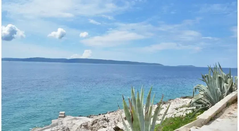 фото Villa Zenit