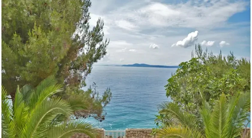 фото Villa Zenit