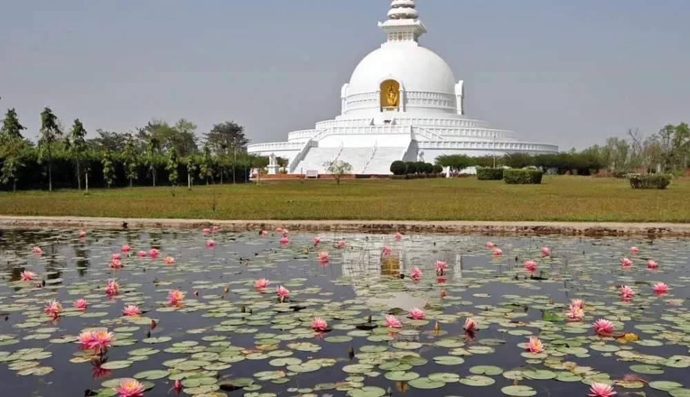 фото Hotel Mamata