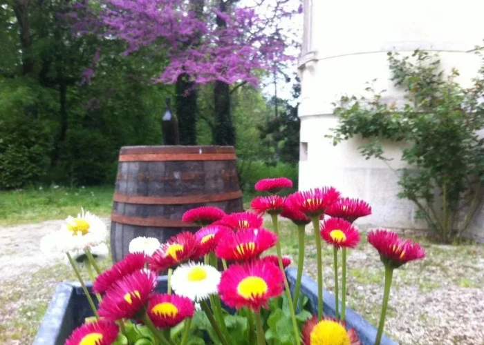 Château Bel Air