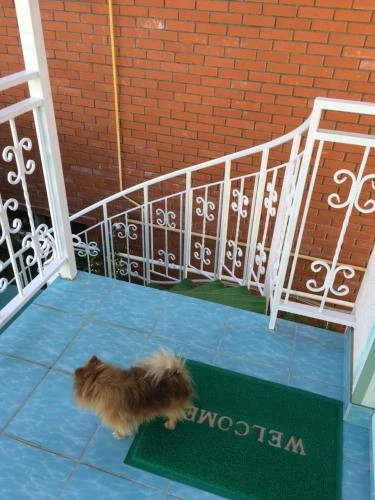 фото Nadezhda Guest House