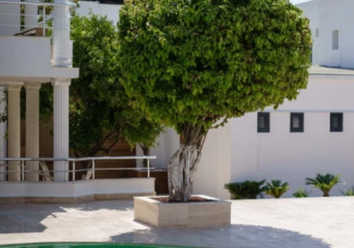 Отель Costa Maya