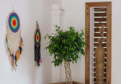 Отель Costa Maya