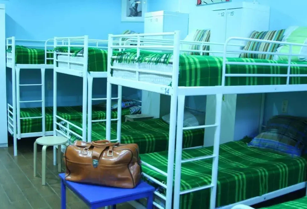 фото House Mouse Hostel